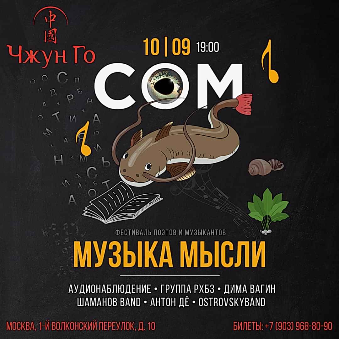 Музыка мысли. Фестиваль поэтов и музыкантов